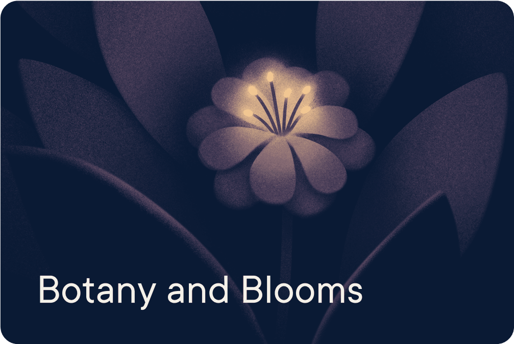 Botany and Blooms