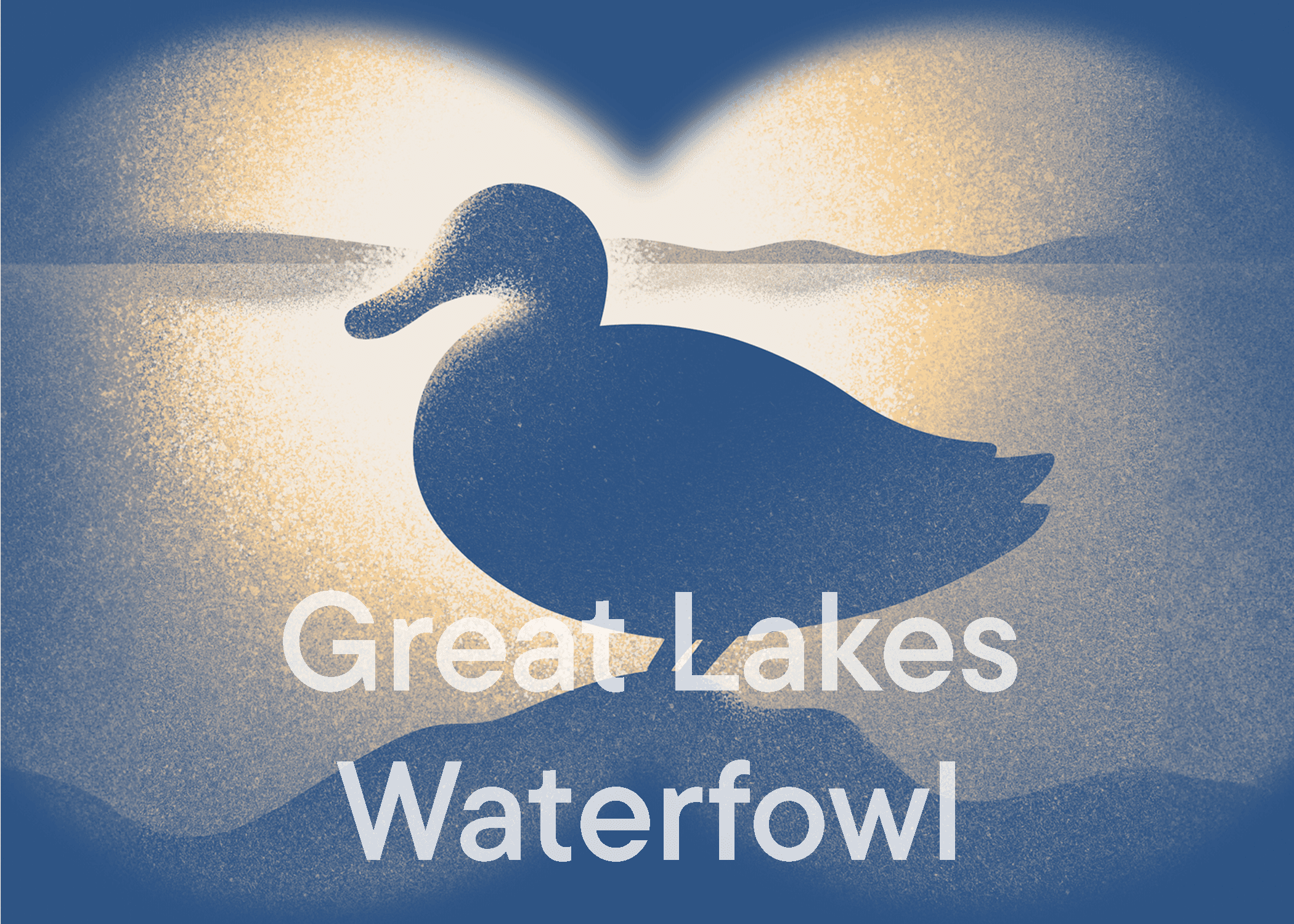 Great Lakes Waterfowl - Listening Room BG